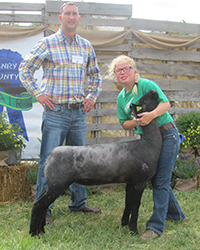 Schmitz Club Lambs Winners